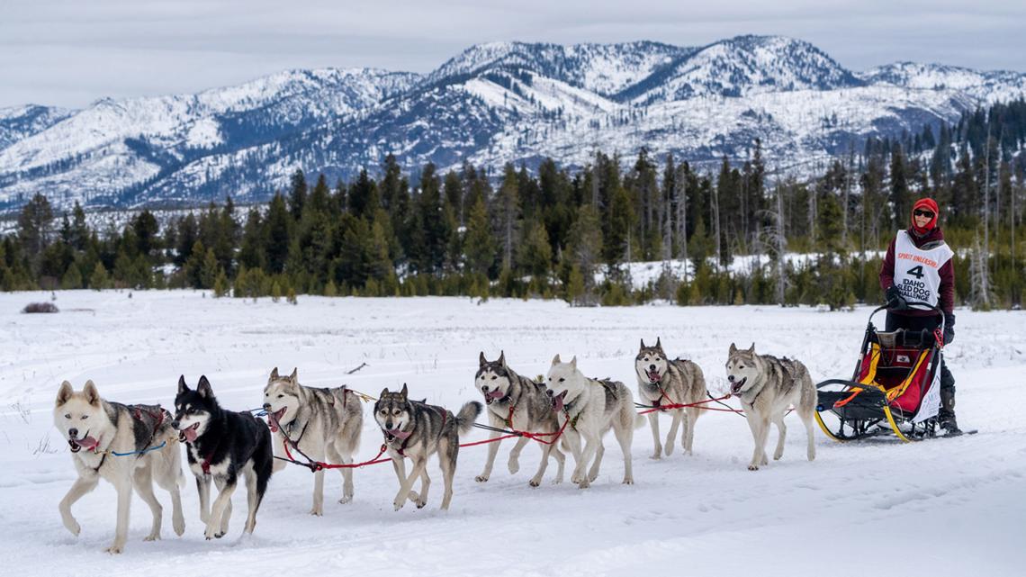 'All good things to come to an end': Idaho Sled Dog Challenge announces its end