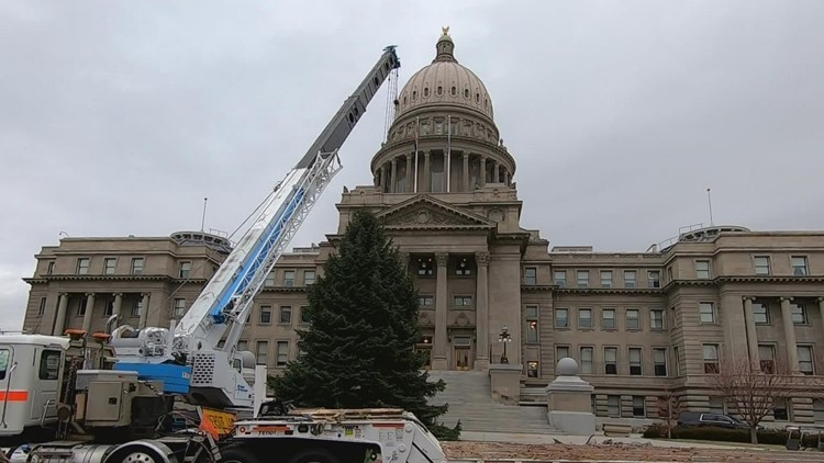 How the Idaho State Capitol picks the perfect holiday tree