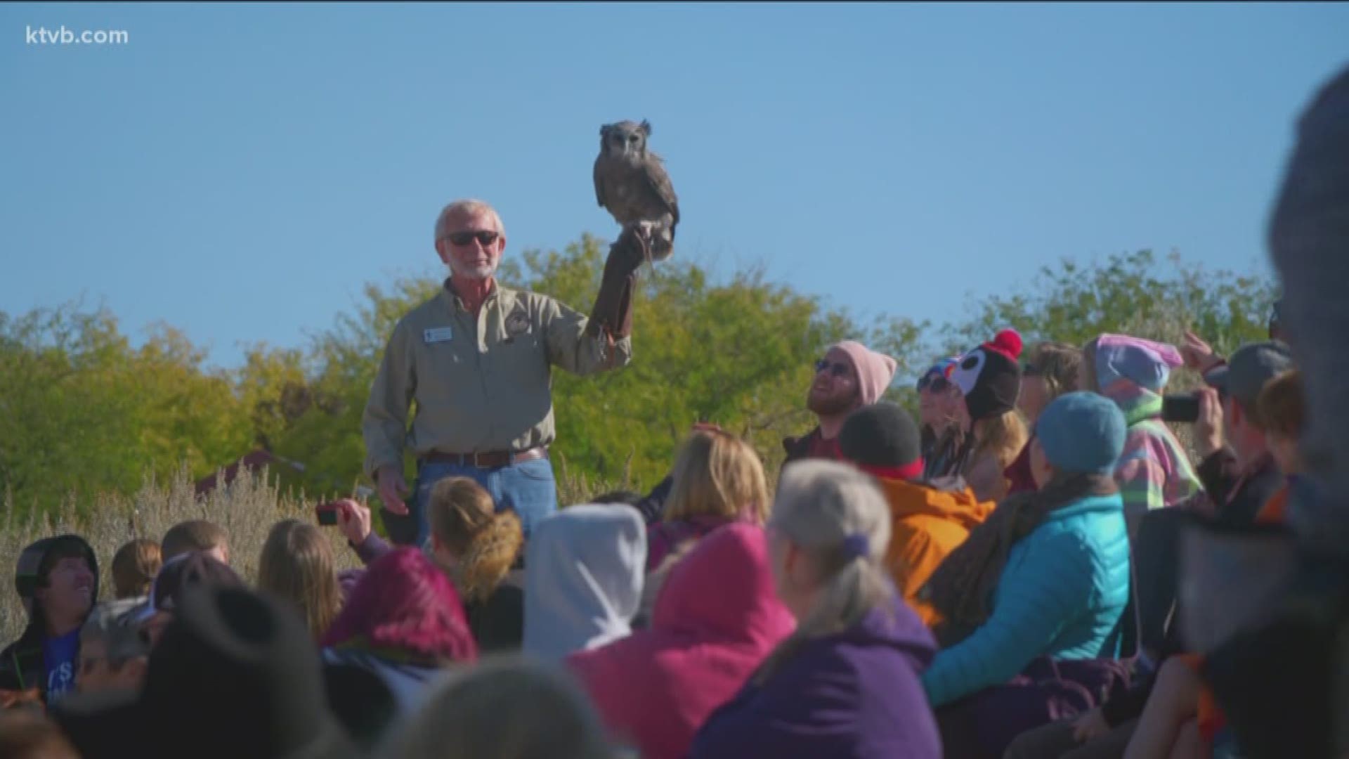 The Fall Flights demonstration south of Boise is your best opportunity to get up-close to a hawk, falcon or owl as they soar inches from your head.