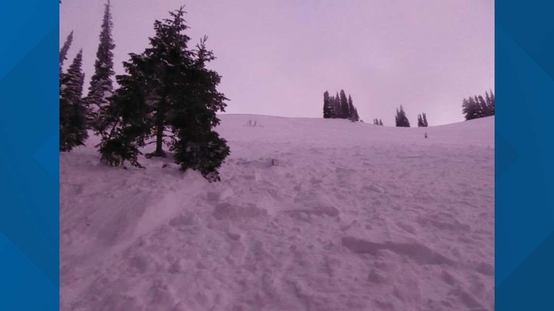Snowmobiler dies in avalanche west of West Yellowstone - Vimarsana News