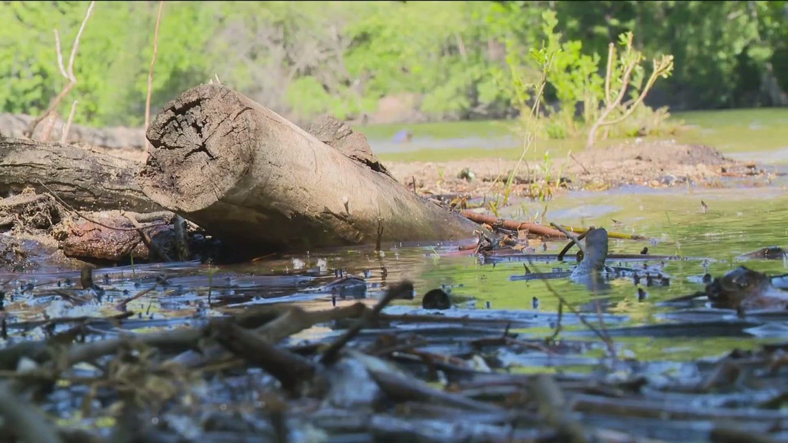 Boise River graded B-minus in new community report