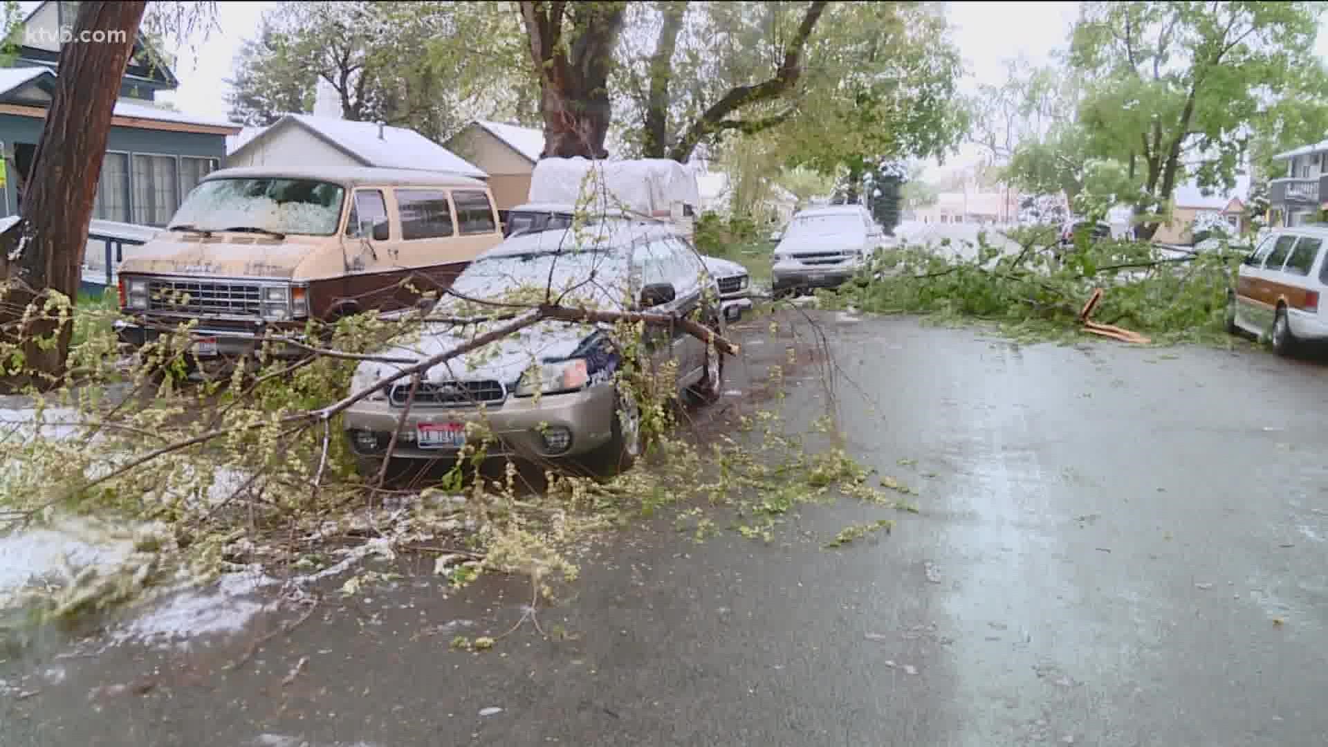 A late-season snowstorm created slick conditions and knocked down branches and trees in some neighborhoods Monday.