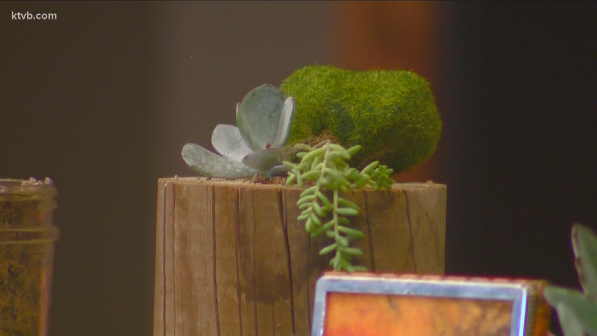 Garden Master Jim Duthie takes to a class on how to make indoor succulent planters.