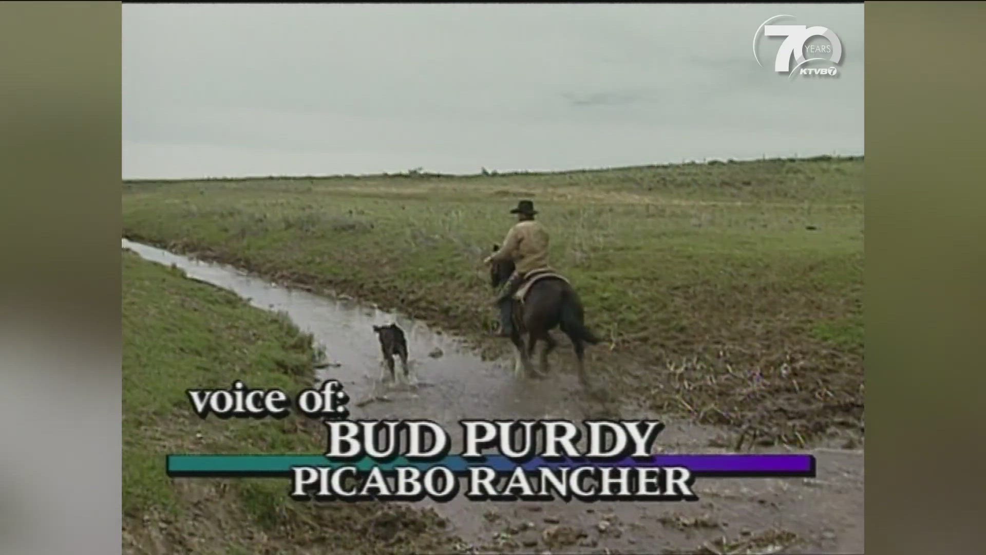 For KTVB's 70th anniversary, we are digging through the archives and digitizing favorite episodes of our popular 'Exploring Idaho' series. Purdy Ranch in May 1995.