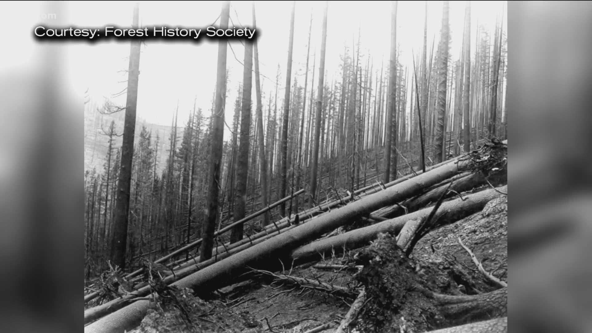 One of the worst natural disasters in 20th century American history happened here in Idaho. It was a  
wildfire called "The Big Blow-up" or "The Big Burn."