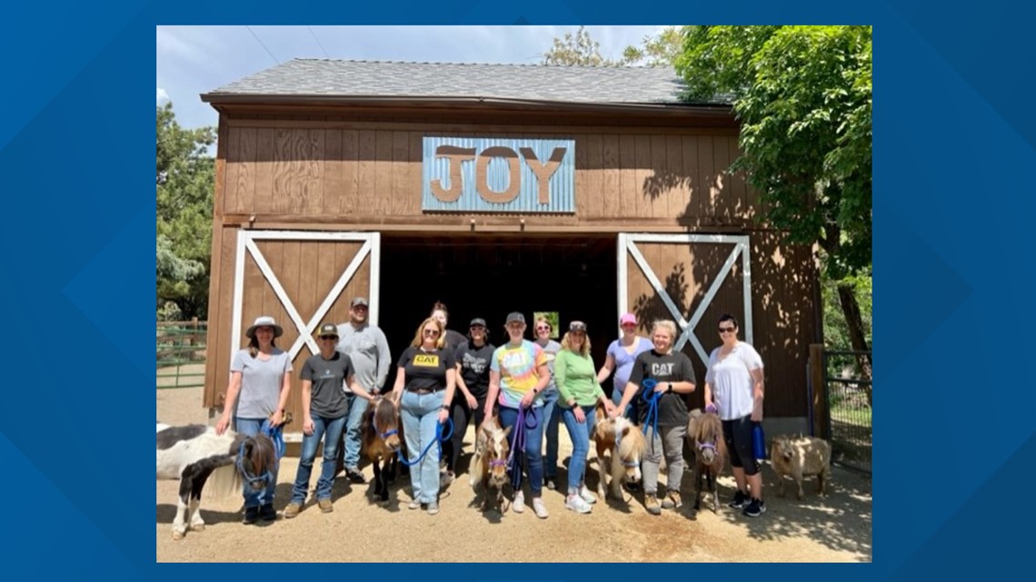 7's HERO: Boise nonprofit continues to spread joy with its miniature horses - Vimarsana News