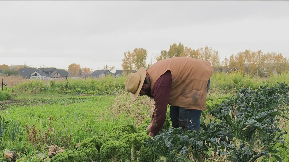 Exploring Idaho: Boise farmers share the work behind your Thanksgiving meal