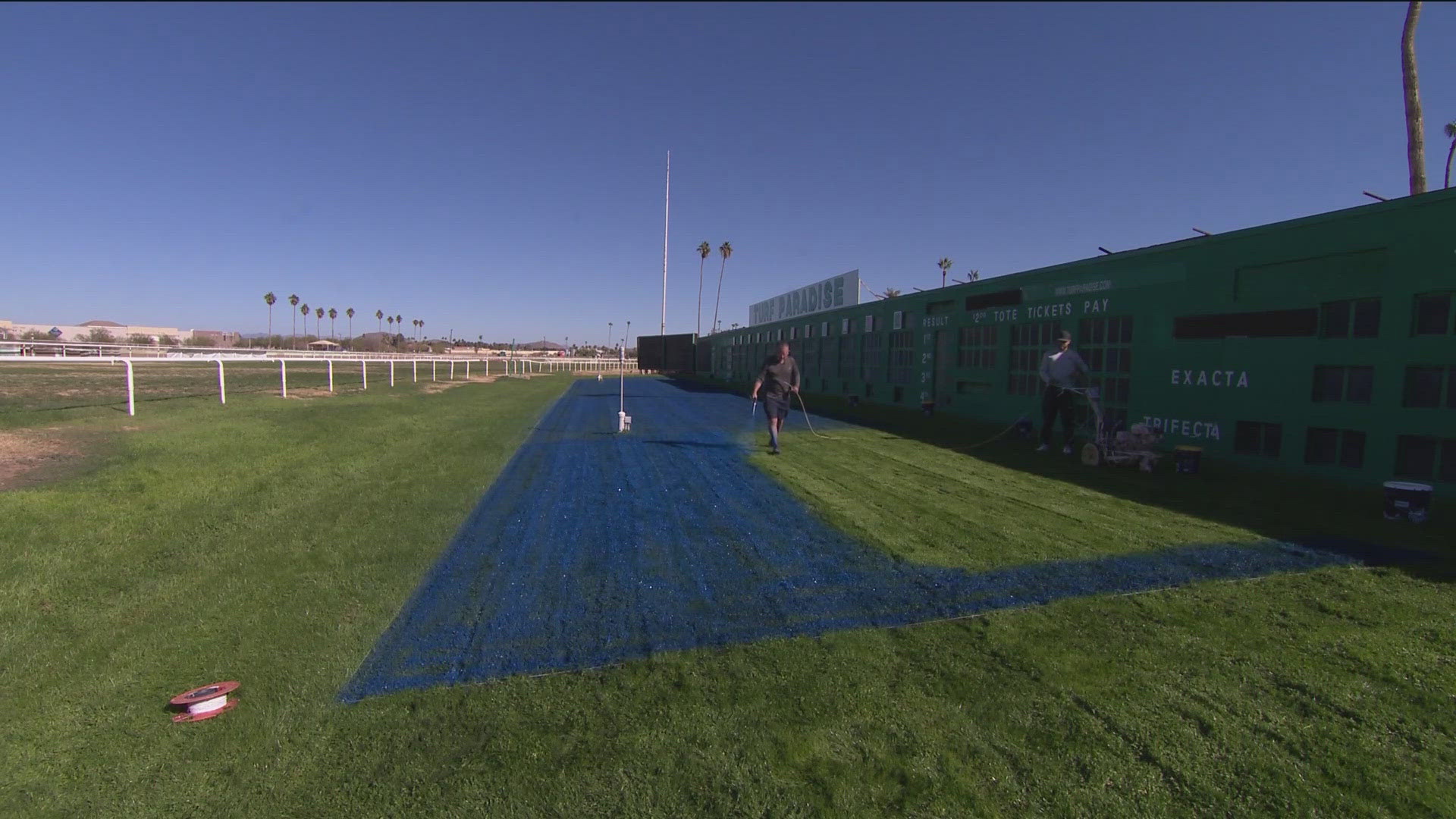 The manager at Turf Paradise said there is a soft spot for the Broncos in Phoenix. 