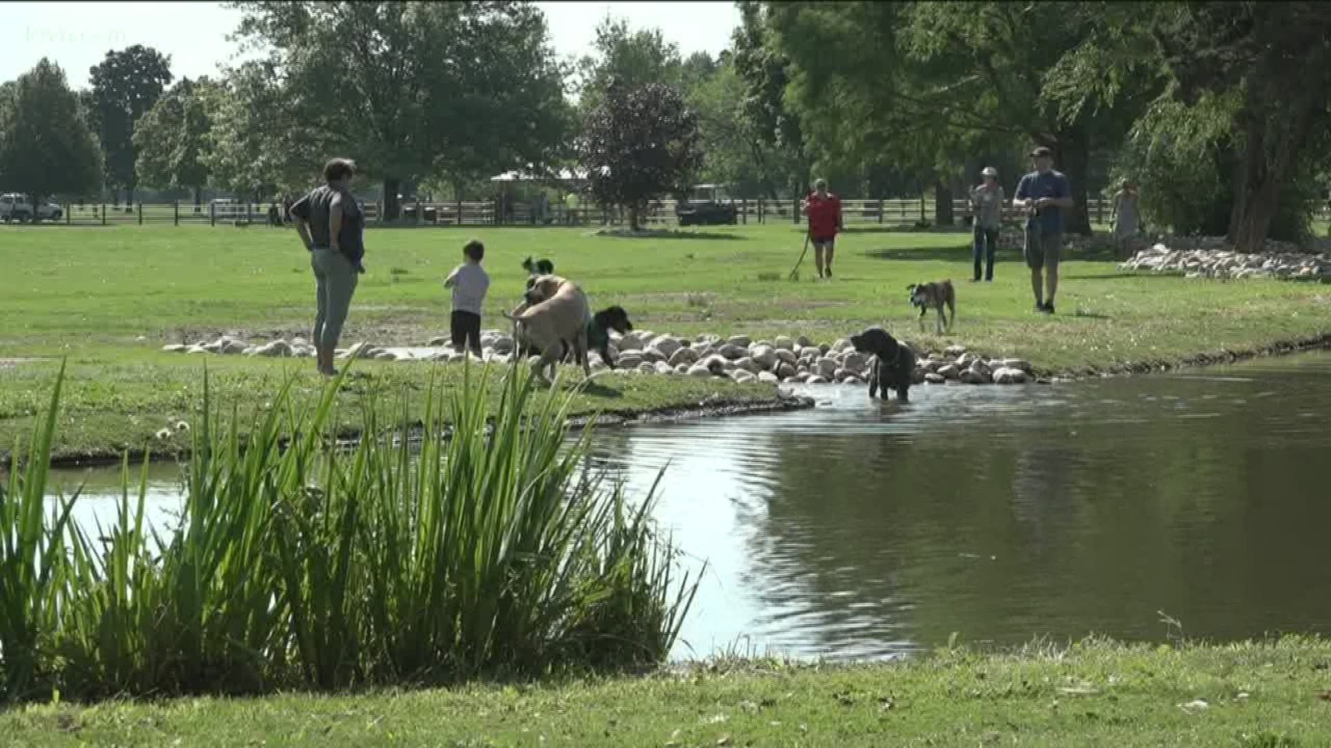 Families flocked to the park for the grand opening of the new dog island.