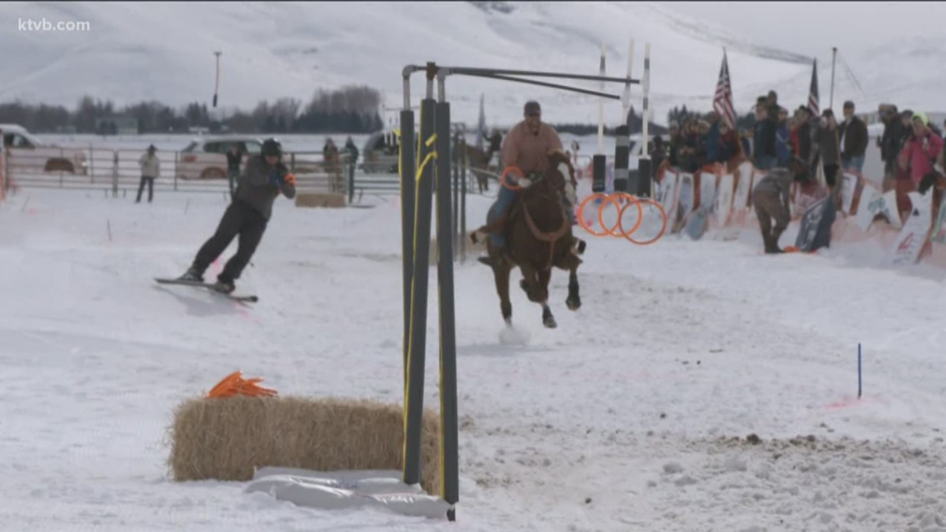 Equal parts raucous entertainment and serious athletic endeavor, skijoring —  where a rider on horseback pulls a skier through an obstacle course —  is perhaps winter's wildest sport.