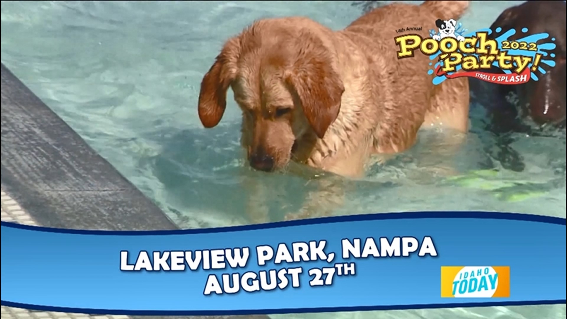The Pooch Party Stroll & Splash is August 27th at Lakeview Park in Nampa. Contests, raffles, and pet-friendly booths.