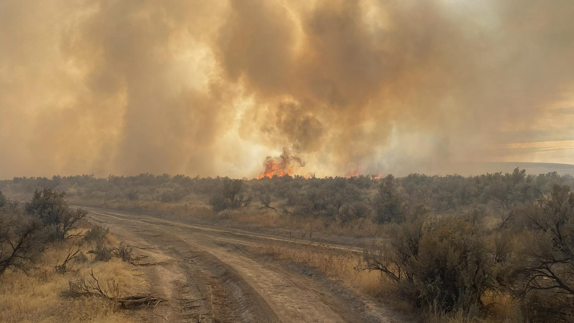 The Leeds and Chalky Butte fires burned more than 700 acres combined in southwest Idaho in 2024.