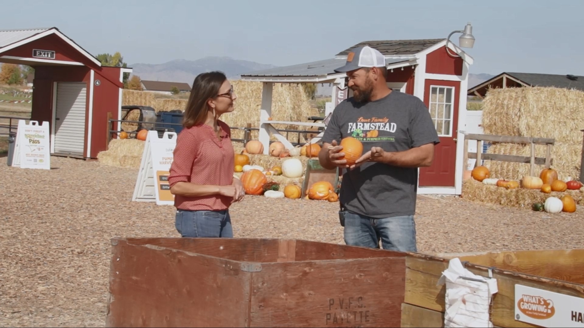 Jim Lowe with Lowe Family Farmstead shares with us the over 50 different types of pumpkins available at the Lowe Family Farmstead in Kuna.