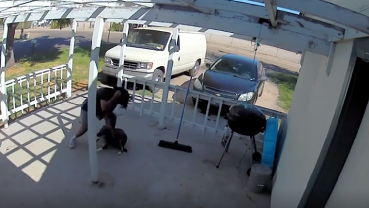 Man shown punching dog goes viral, Caldwell Police investigating