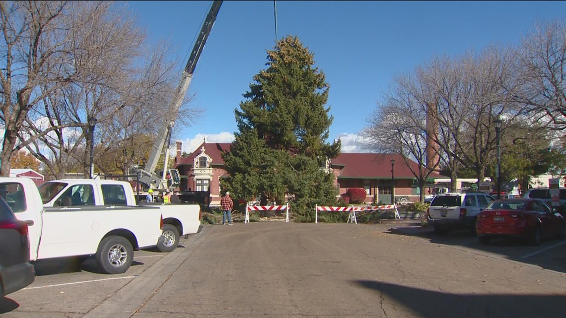 Christmas tree installed in downtown Nampa