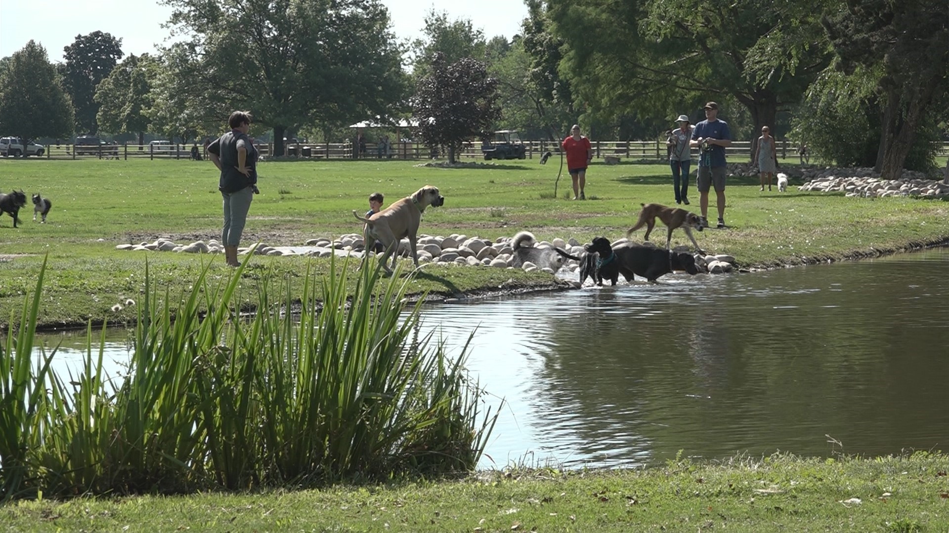 Dog offleash season starts for two Boise parks