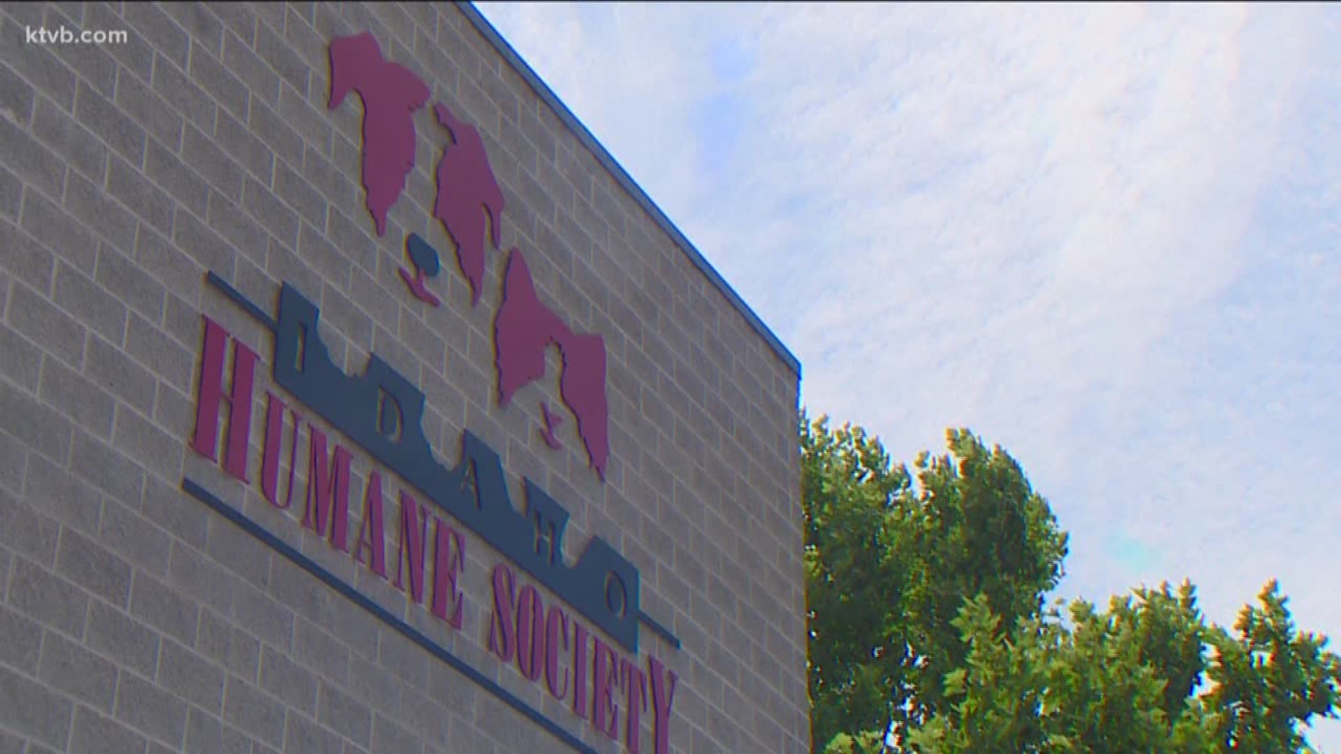 Mayors of both cities say the financial cost of continuing to contract with the Idaho Humane Society was simply too much.