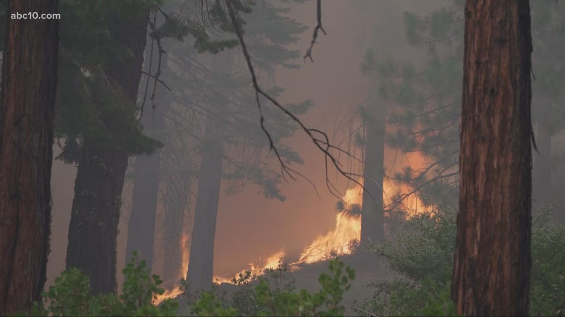 About 200 soldiers to join fight against Northern California wildfires - Vimarsana News
