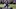 Auburn football's Jyaire Shorter or Shane Hooks could lead in receiving this season | Auburn Tigers