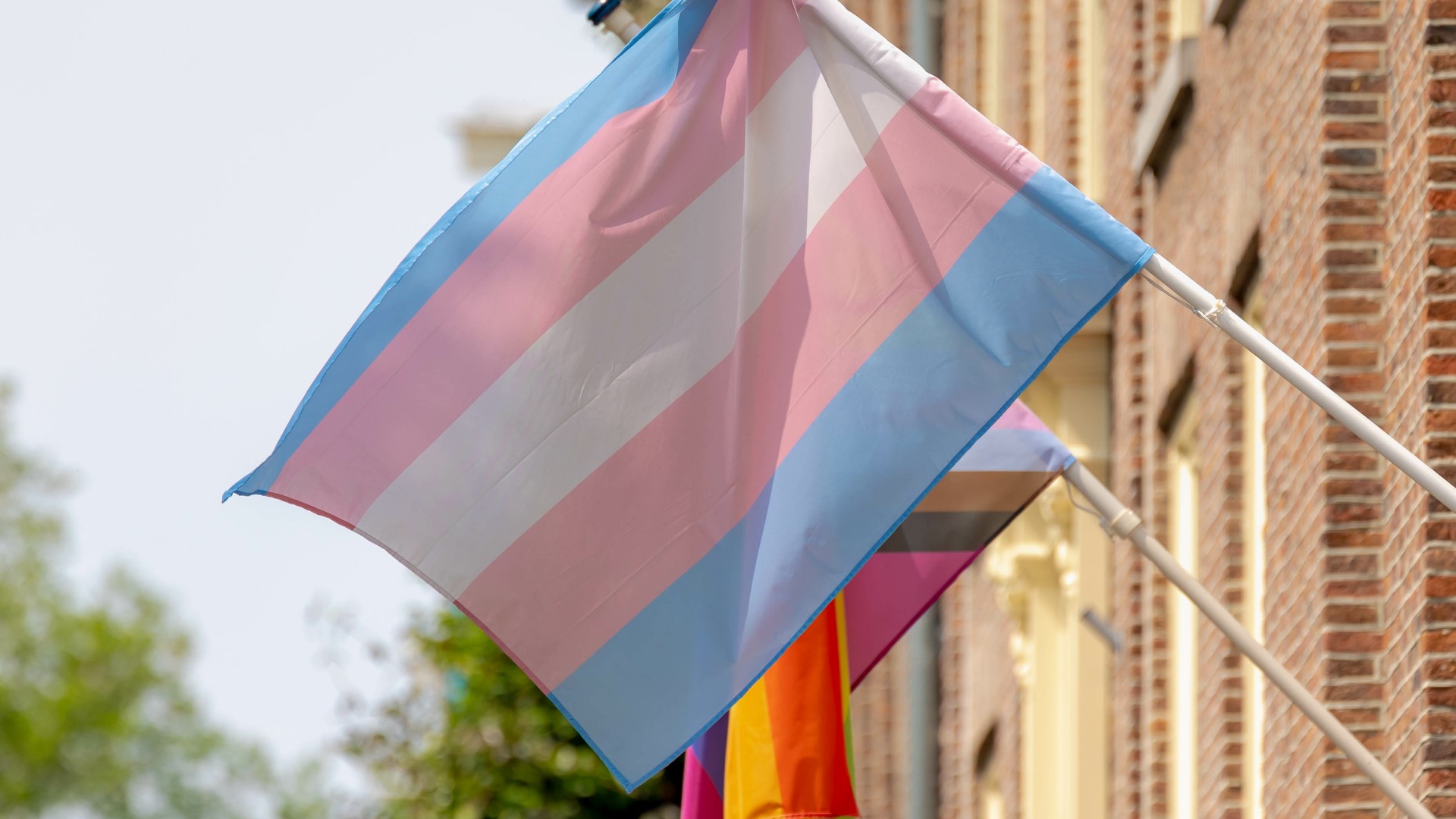 Organizers said the first-ever Trans March in Boise celebrates the community and increases visibility.