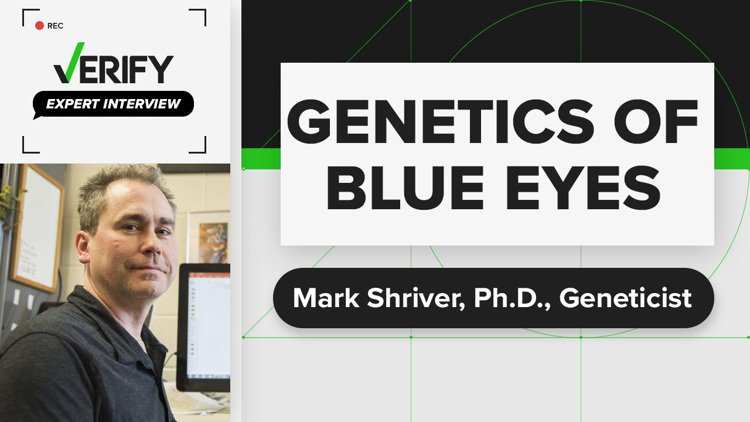 People with Blue Eyes are Genetically Related | Expert Interview with Mark Shriver, Ph.D.