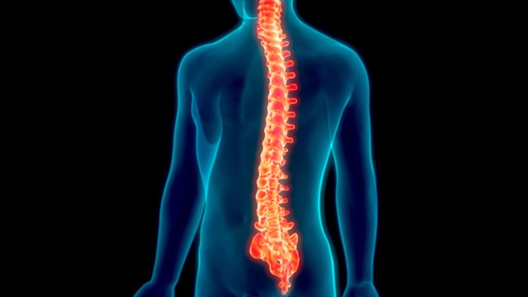 New Spinal Cord Therapy Restores the Ability to Walk In Those With Paralysis
