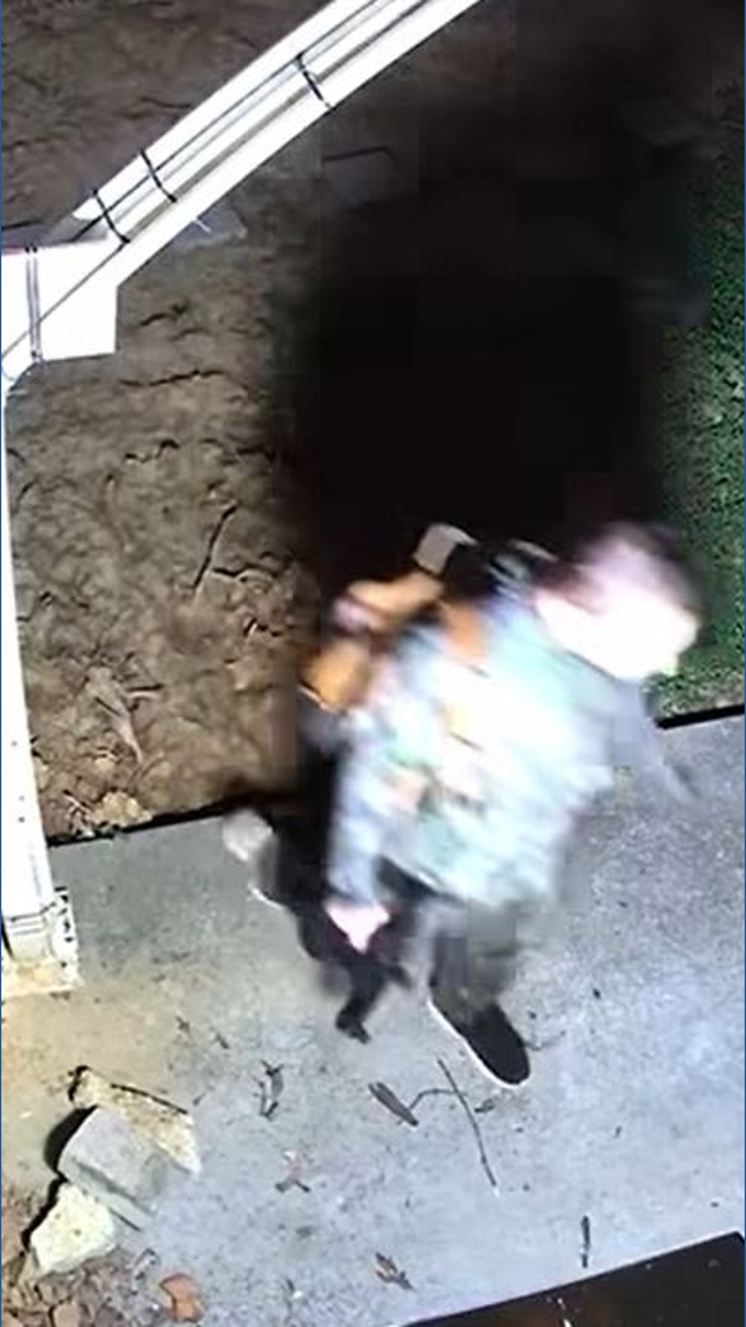 Manhunt for suspect on the run after 4 found dead in Lake County, Tenn ...