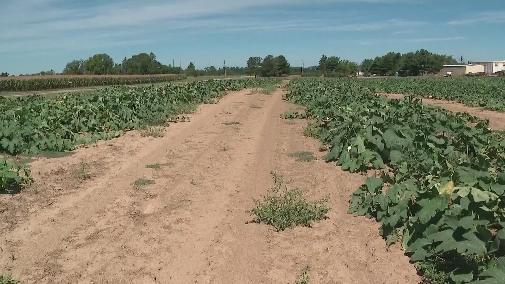 Most Ohio counties are experiencing abnormally dry conditions this summer, with those in the state's southeast being the hardest hit.