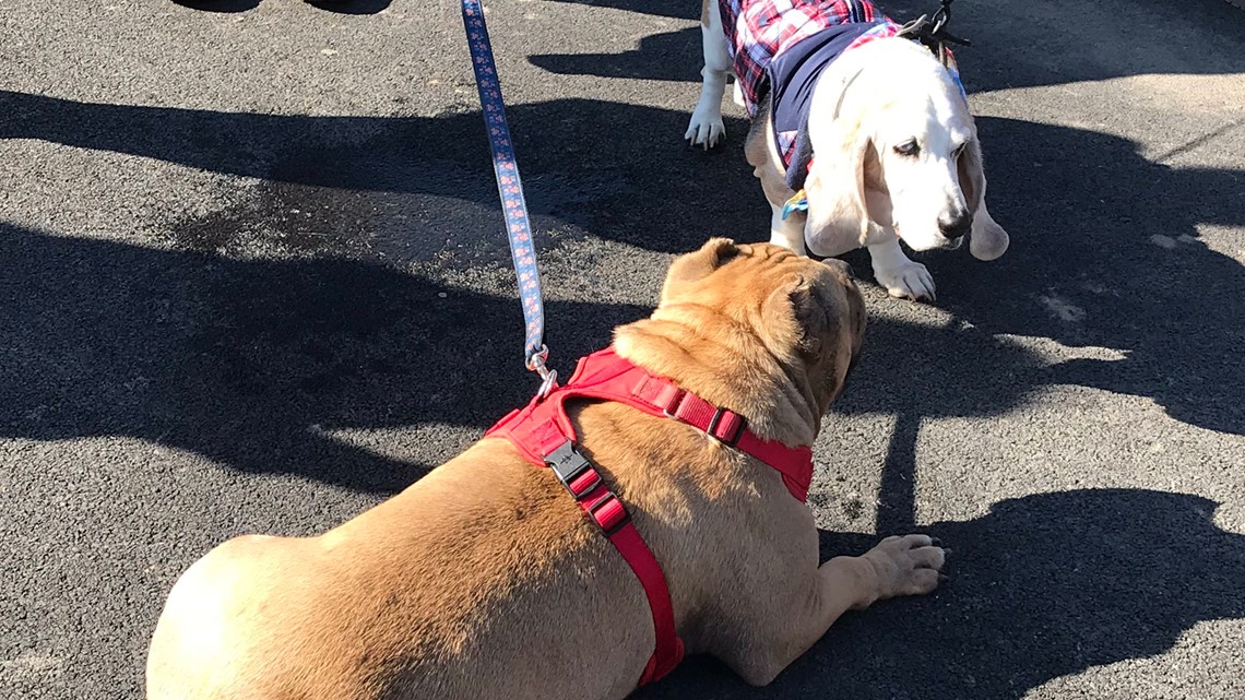 Niagara Falls gets its first dog park | ktvb.com