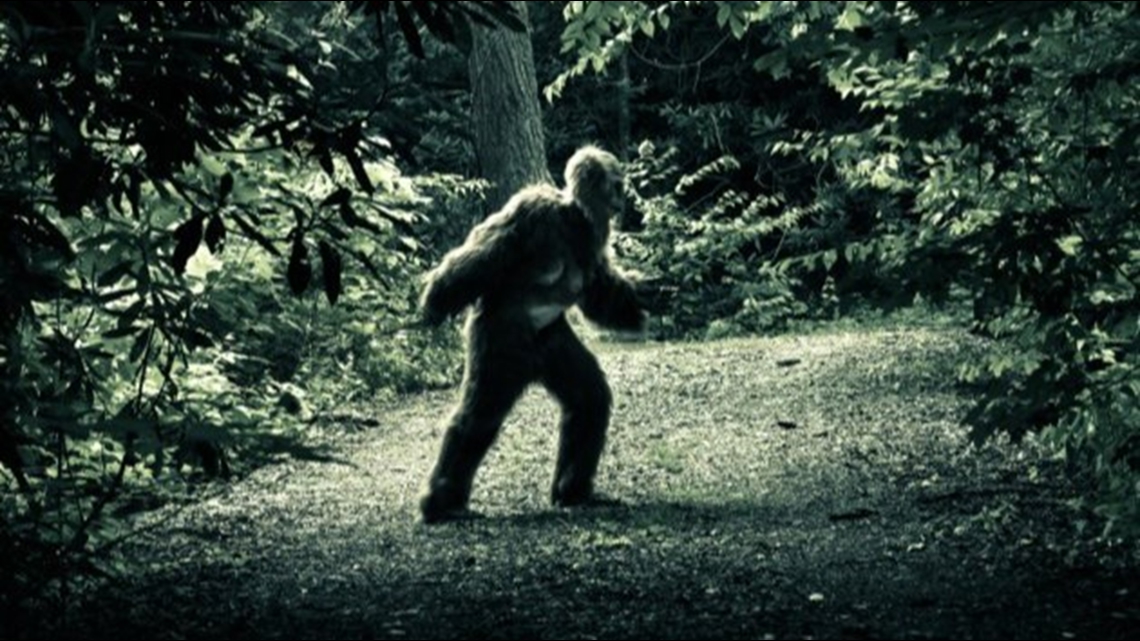105 Bigfoot sightings in Idaho: Creature has excellent taste in real estate