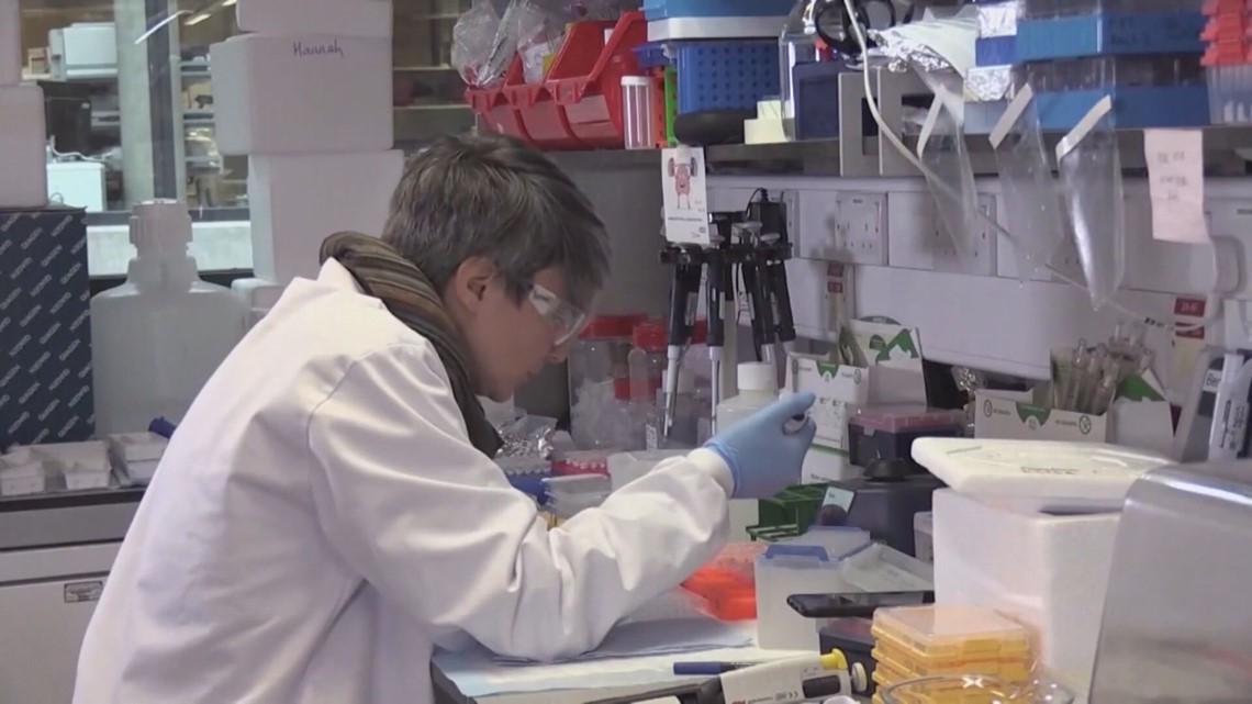 UK, California COVID-19 variants found in Boise-area wastewater - Vimarsana News