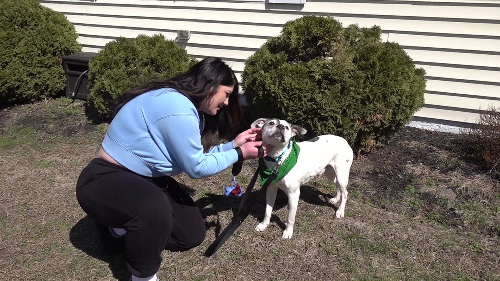 Owner reunites with dog stolen from her backyard more than a decade ago ...