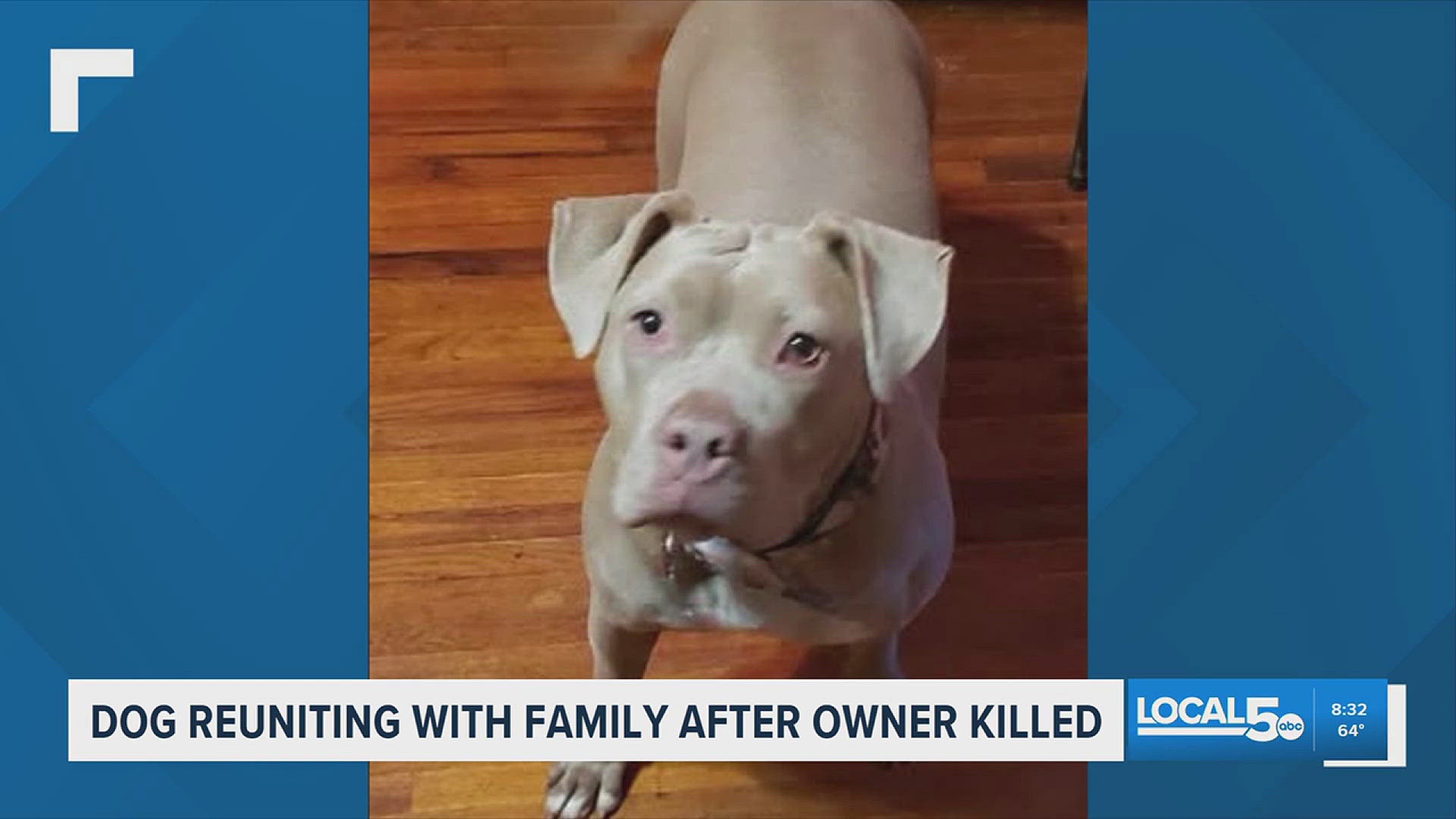 Dog reunites with family after owner dies in West Virginia crash | ktvb.com