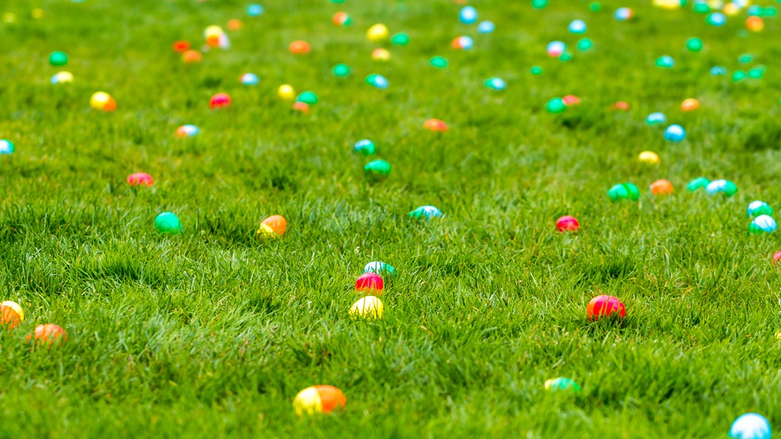 Happy Easter: Our viewers are our favorite 'peeps' - Vimarsana News