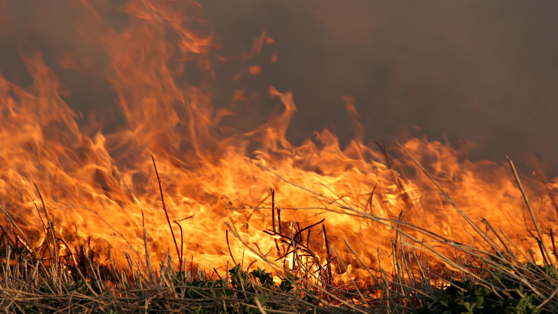 Over 30 fires blazed in Boise during Fourth of July | ktvb.com