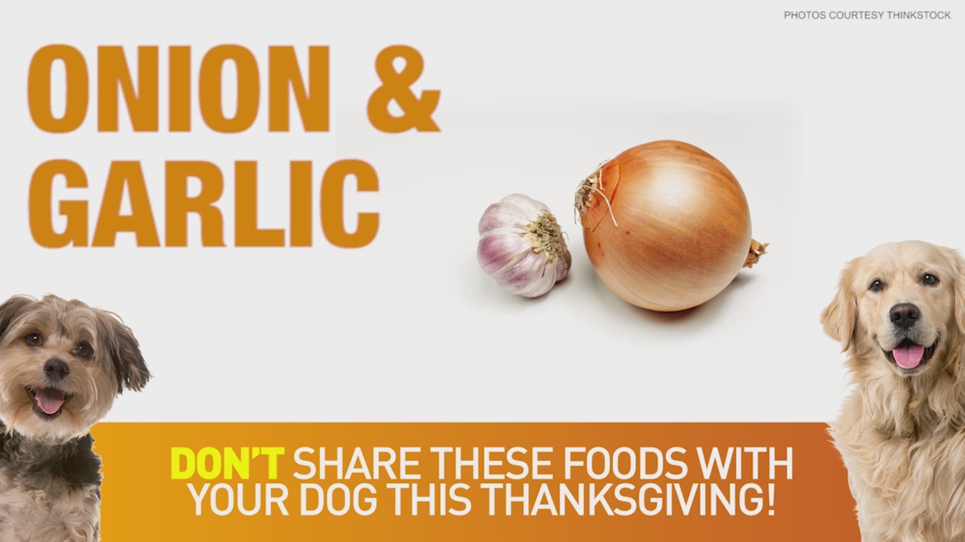 Don't feed your dogs these foods during the holiday season.